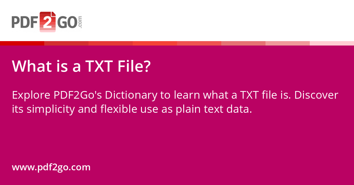 What is a TXT File?
